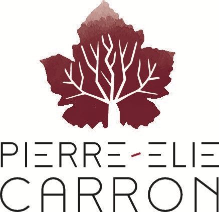 Logo Pierre-Elie CARRON